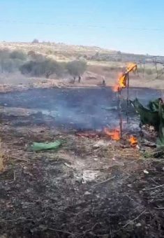 אש בוערת בשדות סינג'ל. התמונה באדיבות התושבים
