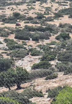 المستوطنون يبتعدون على التراكتور الصغير. صورة قدمها مساعيد مشكورًا