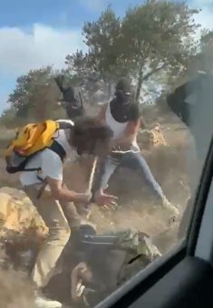 Settlers beating activists. Still from video footage of the incident, courtesy of local residents