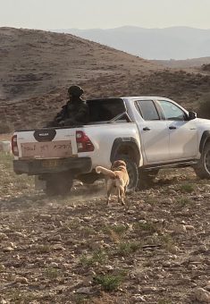 سيارة ديدي عموسي التي أصعد عليها المستوطنون الرعاة بعد اعتقالهم. تصوير: نشطاء/ ناشطات الأغوار  