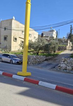 The olive trees behind which the soldiers lay in ambush. Photo: Manal a-Ja’bari, B’Tselem 