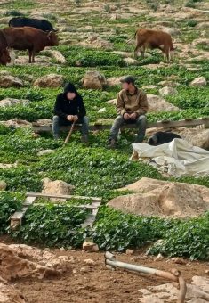 Settlers driving an ATV near one of the residential compounds, 31 Jan. 2026. Still from video footage courtesy of the residents 