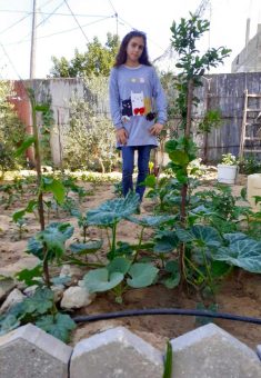 Almaza a-Sultan’s daughter Nasmah in their yard, before their home was destroyed. Photo courtesy of a-Sultan 
