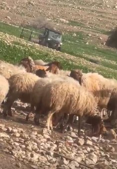 טרקטורון של מתנחלים ליד הקהילה, 2.2.26. מתוך תיעוד וידיאו באדיבות התושבים