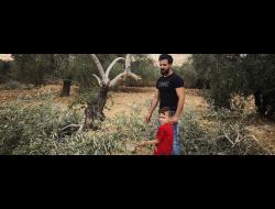 محمود سمحان وكنان ابن أخيه في كرمه، في قرية راس كركر، قرب إحدى أشجار الزيتون التي قطعها المستوطنون. تصوير إياد حدّاد، بتسيلم،  19.8.18 