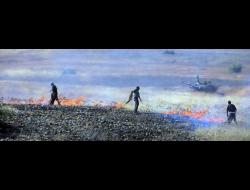 سكان التجمع السكنّي بصلية يطفؤن النيران التي اندلعت بين تجمعهم السكنّي والتجمع السكنّي حمصة في اعقاب التدريبات العسكرية التي قام بها الجيش الاسرائيلي. تصوير: عارف ضراغمة، بتسيلم. 25/6/2015.