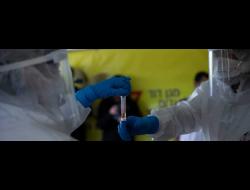 צילום: אורן זיו, אקטיבטילס