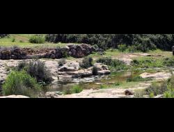 Natural pool, Wadi Qana. Photo: B’Tselem, 27 March 2014