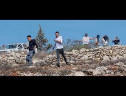 תקיפת מתנחלים בסוריף שבמחוז חברון. צילום: שי קנדלר, 11.11.21