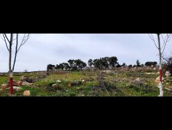 The hill on which ‘Ammar Abu ‘Afifah was shot. Photo: Musa Abu Hashhash, B’Tselem, 7 March 2022