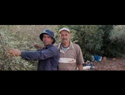 משמאל: בילאל מוחמד סאלח מהכפר א-סאוויה שמדרום לשכם, זמן קצר לפני שנורה למוות בידי מתנחלים במטע הזיתים שלו