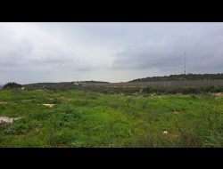جدار الفصل. تصوير: عبد الكريم السّعدي سجّل
