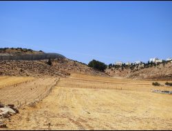 The Separation Barrier next to the village of Deir al-’Asal al-Foqa. Photo courtesy of residentnurs 