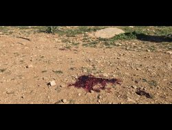Location where Amir Shinaran was killed, by his family’s field. Photo: Nasser Nawaj’ah, B’Tselem 