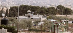 מתוך תיעוד הווידאו