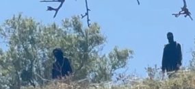 מתוך תיעוד הווידאו