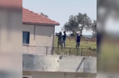 מתוך תיעוד הווידיאו