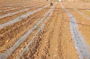أنابيب الري وقطع النايلون التي أتلفها المستوطنون في منطقة خلة الدير. من فيديو توثيقي قدمه السكان مشكورين