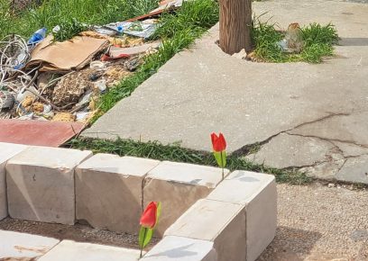 המקום שבו נפגע סאלחייה. צילום: איאד חדאד, בצלם