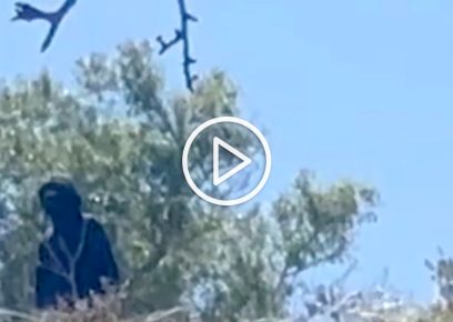 <br />
Still from video
