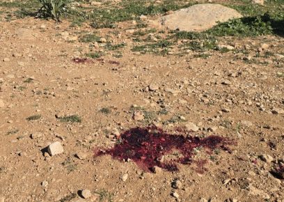 Location where Amir Shinaran was killed, by his family’s field. Photo: Nasser Nawaj’ah, B’Tselem