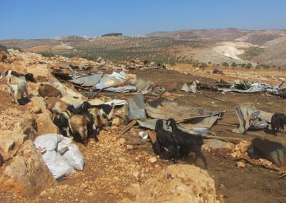 ההריסות בקהילה שממזרח לא-טייבה. צילום: איאד חדאד, בצלם, 3.9.15