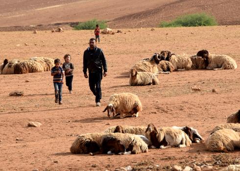 سكان خربة حمصة ينتظرون مع مواشيهم السماح لهم بالعودة الي بيوتهم. تصوير: عارف دراغمة، بتسيلم، 8.5.18.