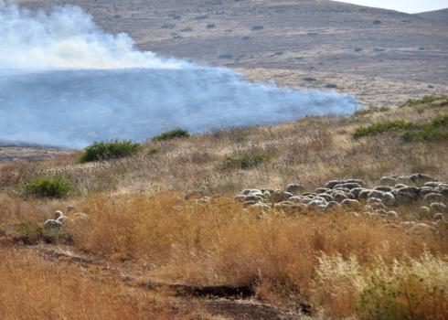 The pastureland being consumed by the flames. Photo by Aref Daraghmeh, B’Tselem, 27 May 2019 The pastureland being consumed by the flames. Photo by Aref Daraghmeh, B’Tselem, 27 May 2019