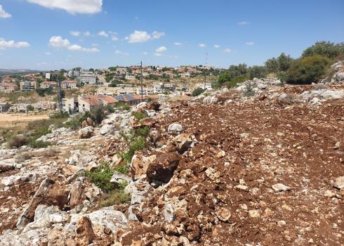 Uprooted trees in the Sultan family's plot. Haris, 25 June 2020. Photo: courtesy of the family