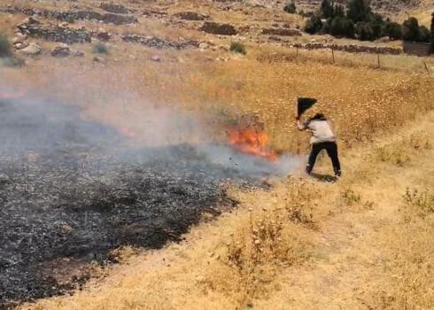 'Ein Samia, 15 June 2020: Fighting a fire started by settlers. Photo: Iyad Hadad, B'Tselem  