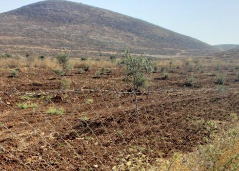 سياج عائلة عواد الذي ألحق به المستوطنون الأضرار. ترمسعيا، 20.7.20. الصورة قدمها الشاهد مشكورا