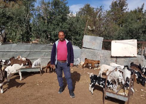 Khalaf al-‘Abayat and his flock after settlers attacked him, Kisan, 25 Jan. 2021. Photo by Musa Abu Hashhsash, B’Tselem