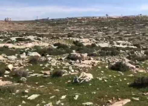 ‘Aref Jaber’s plot, al-Baq’ah, 26 Jan. 2021