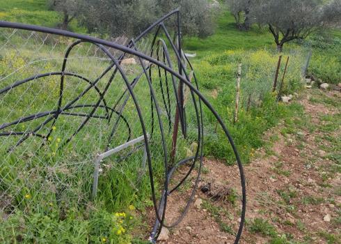 Fence destroyed by settlers in Qaryut, 2 March 2021. Photo by Muhammad al-Boum