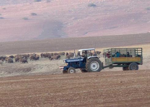 משפחה מתפנה מביתה בח'ירבת חומסה במהלך פינוי זמני בשנת 2018. צילום: עארף דראר'מה, בצלם, 26.6.18