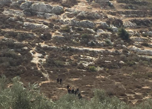 Settlers on village land. Above – the shed erected by the settlers. Photo by Dina Chizik, B’Tselem, 15 October 2021