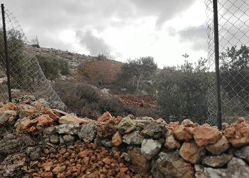 The fence damaged by settlers. Credit: Salma a-Deb'i, B'Tselem
