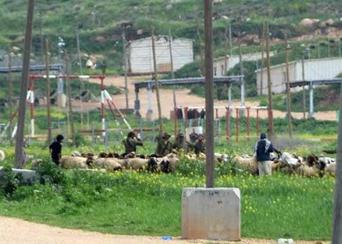Soldiers expelling shepherds near the community of Khirbet Makhul.  Photo by 'Aref Daraghmeh, B'Tselem, 8 Mar. 2022