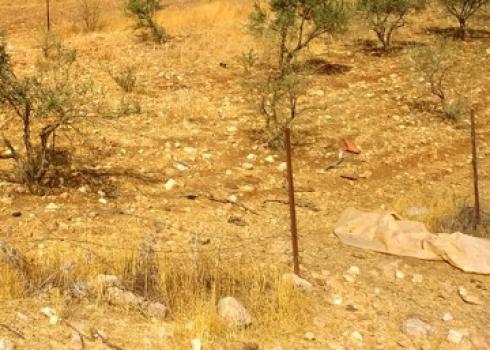 הגדר שפרצו המתנחלים. התמונה באדיבות בעלי הקרקע