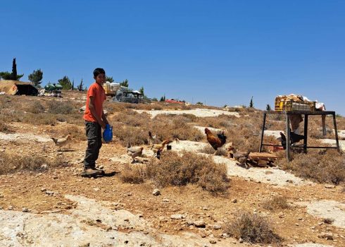 The dismantling of Ras a-Tin community. Photo by Iyad Hadad, B'Tselem, 18 July 2022