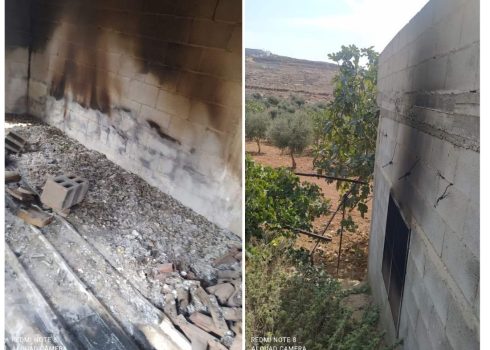 The agricultural structure torched by the settlers. Photos courtesy of Abu Ridah 