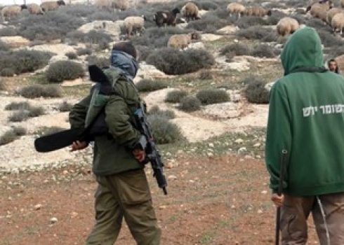 The settler with the flock and a soldier in al-Harini’s land. Photo courtesy of the activists 