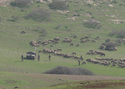 Soldiers by a flock belonging to community residents. Photo courtesy of residents 