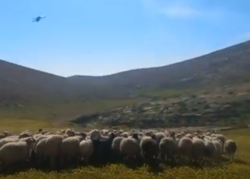 Still from video