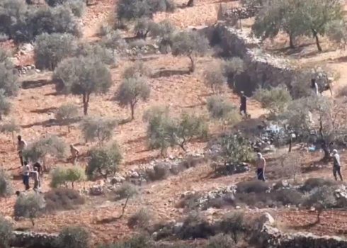 Settlers attacking harvesters. Photo courtesy of village residents