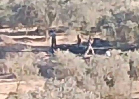 Settlers picking olives on Sabastiya village land. Photo courtesy of residents