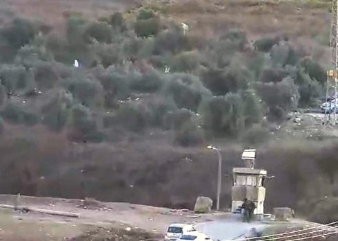 Settlers picking and stealing olives from Zein’s grove in Burin, next to a military watchtower. Still from video footage, courtesy of local residents