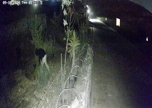 Settlers destroying seedlings in the nursery. Still captured from security camera footage