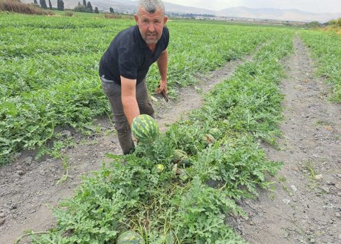 ‘Abd al-Hakim Daraghmeh with the crushed watermelons in his field. Photo: ‘Aref Daraghmeh, B’Tselem, 25 Apr. 2024