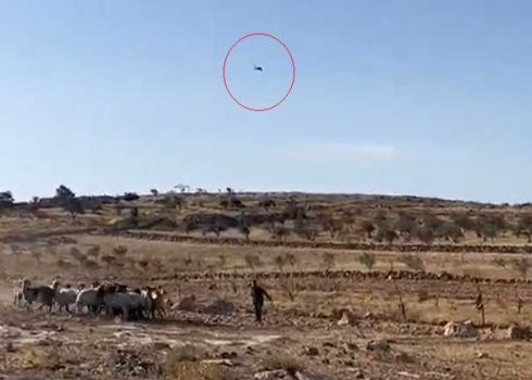 A drone flown by the settlement guard driving sheep belonging to one of the residents away. Photo courtesy of activists
